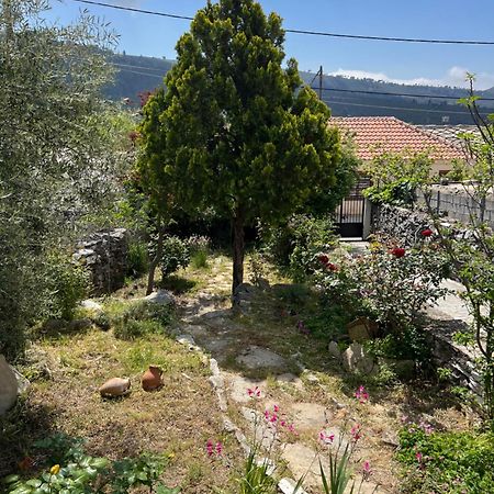 Linos Traditional Cottage Theologos  Dış mekan fotoğraf